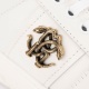 ROBERTO CAVALLI Дамски бели кецове - изглед 4