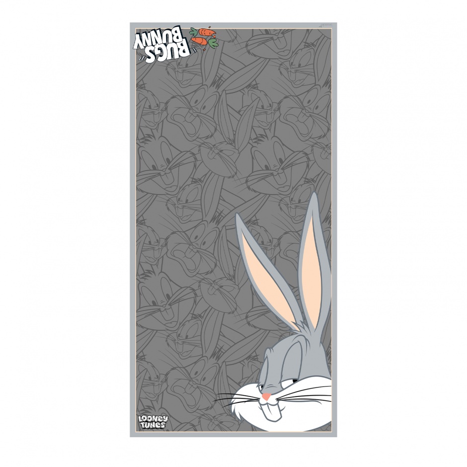 BRACCIALINI Дамски сив шал Looney Tunes - изглед 1 - Pepina BRACCIALINI Дамски сив шал Looney Tunes - изглед 1